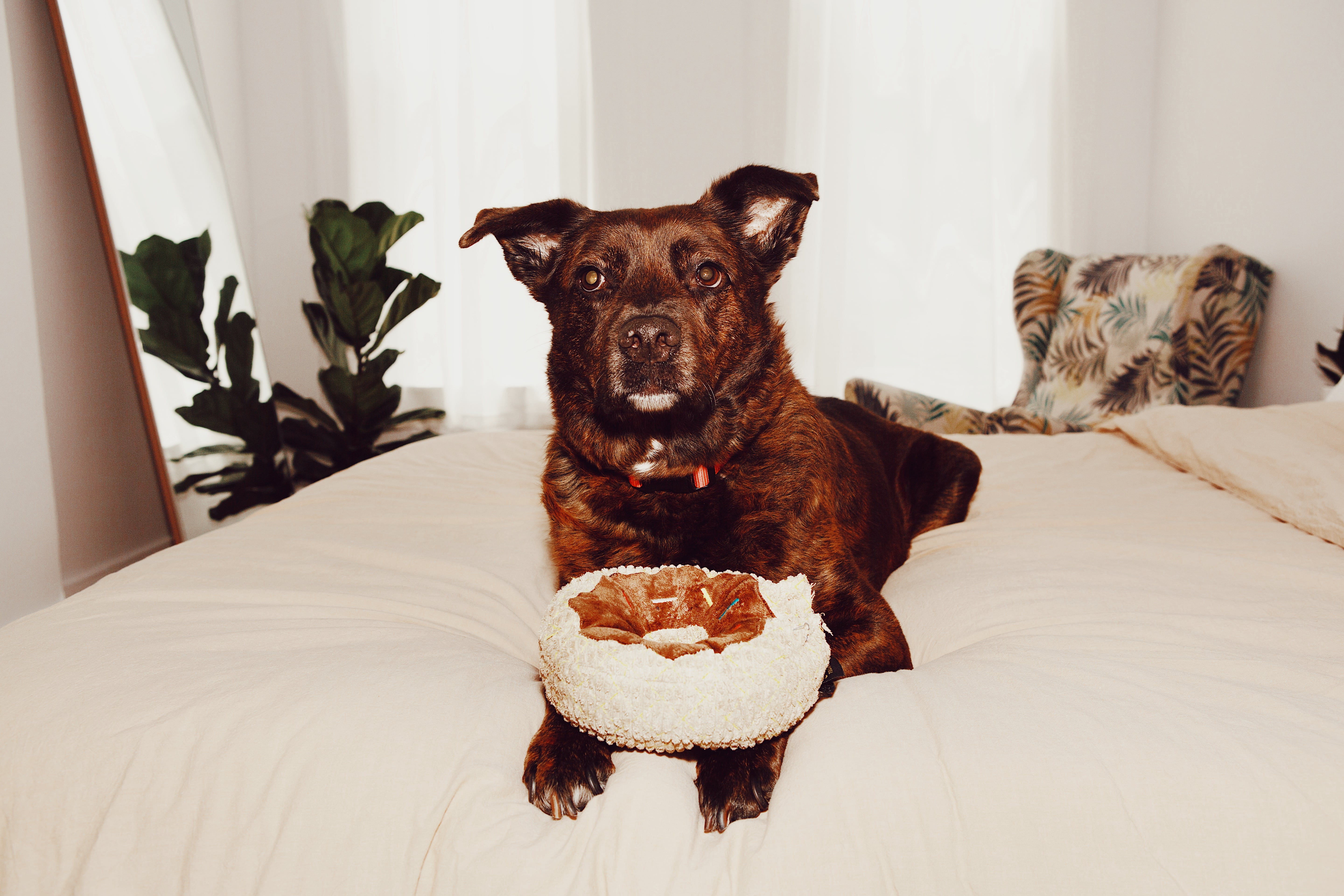 Brandy Jensen, Power Editor at The Outline, and Gracie Argos & Artemis