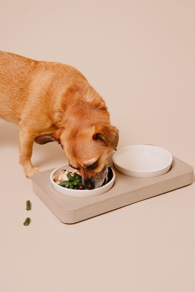 dog grooming table argos