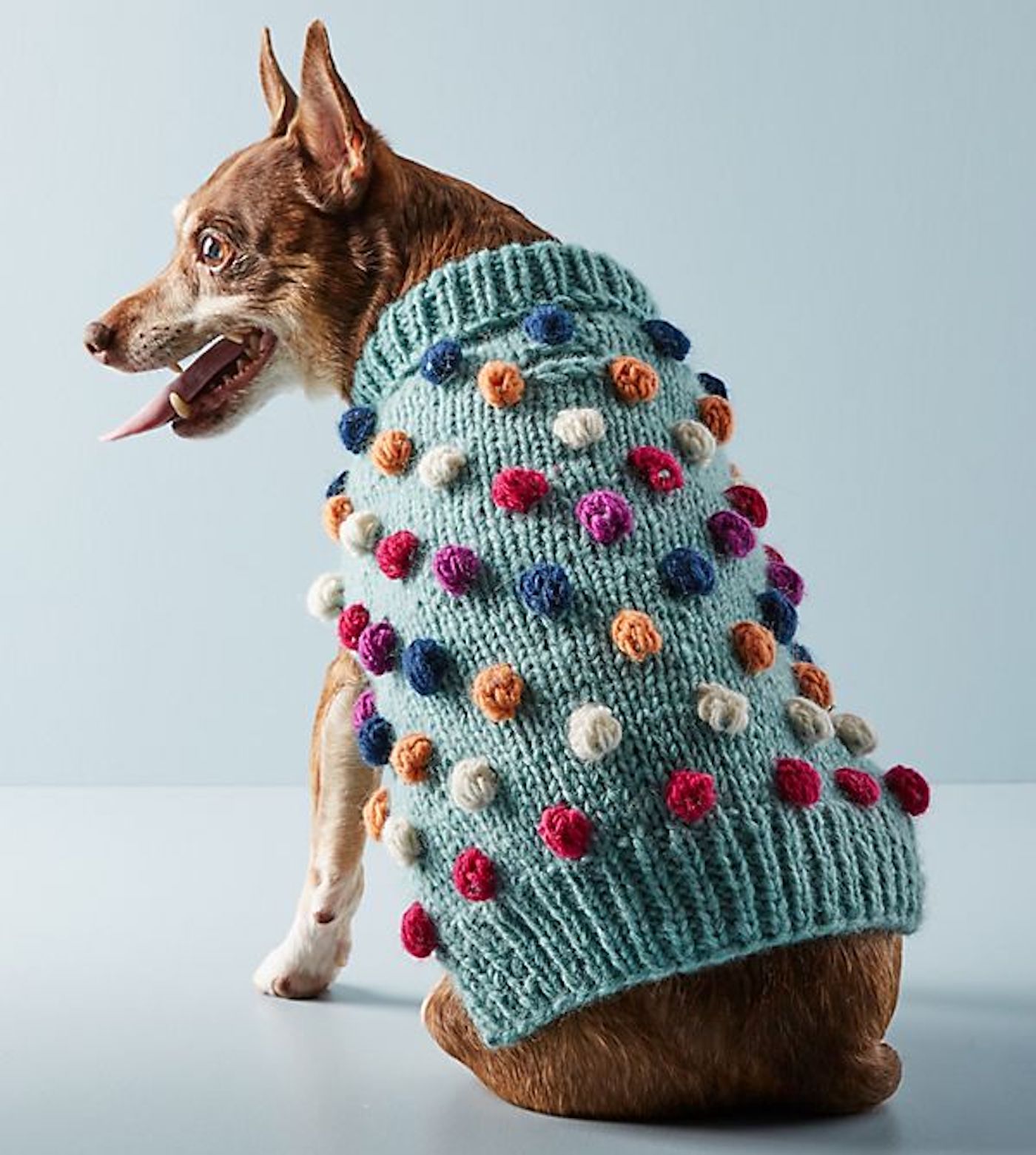 oeuf dog sweater