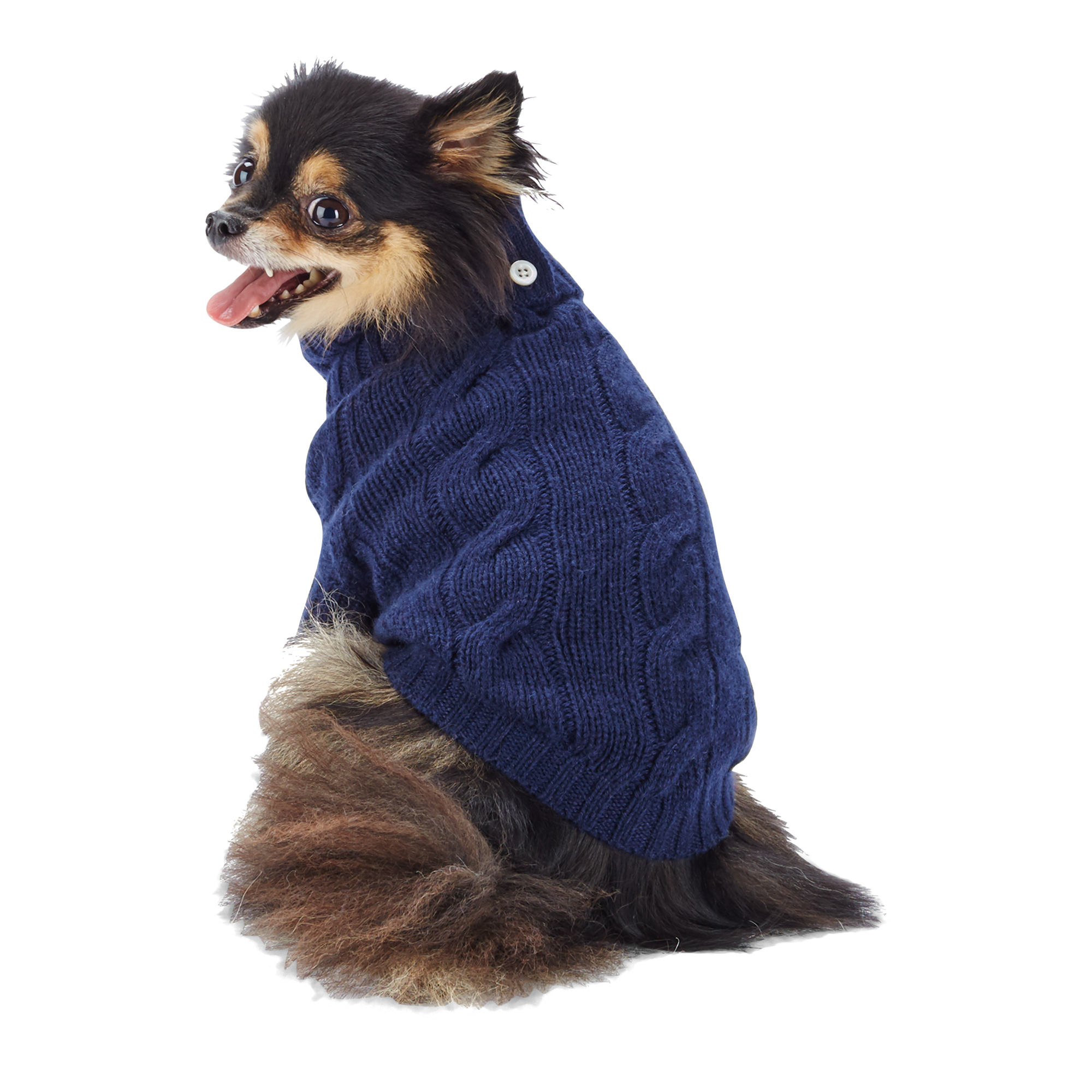oeuf dog sweater