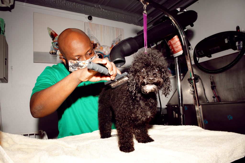 Meet The Harlem Groomer Planning to Beautify Dogs Across America