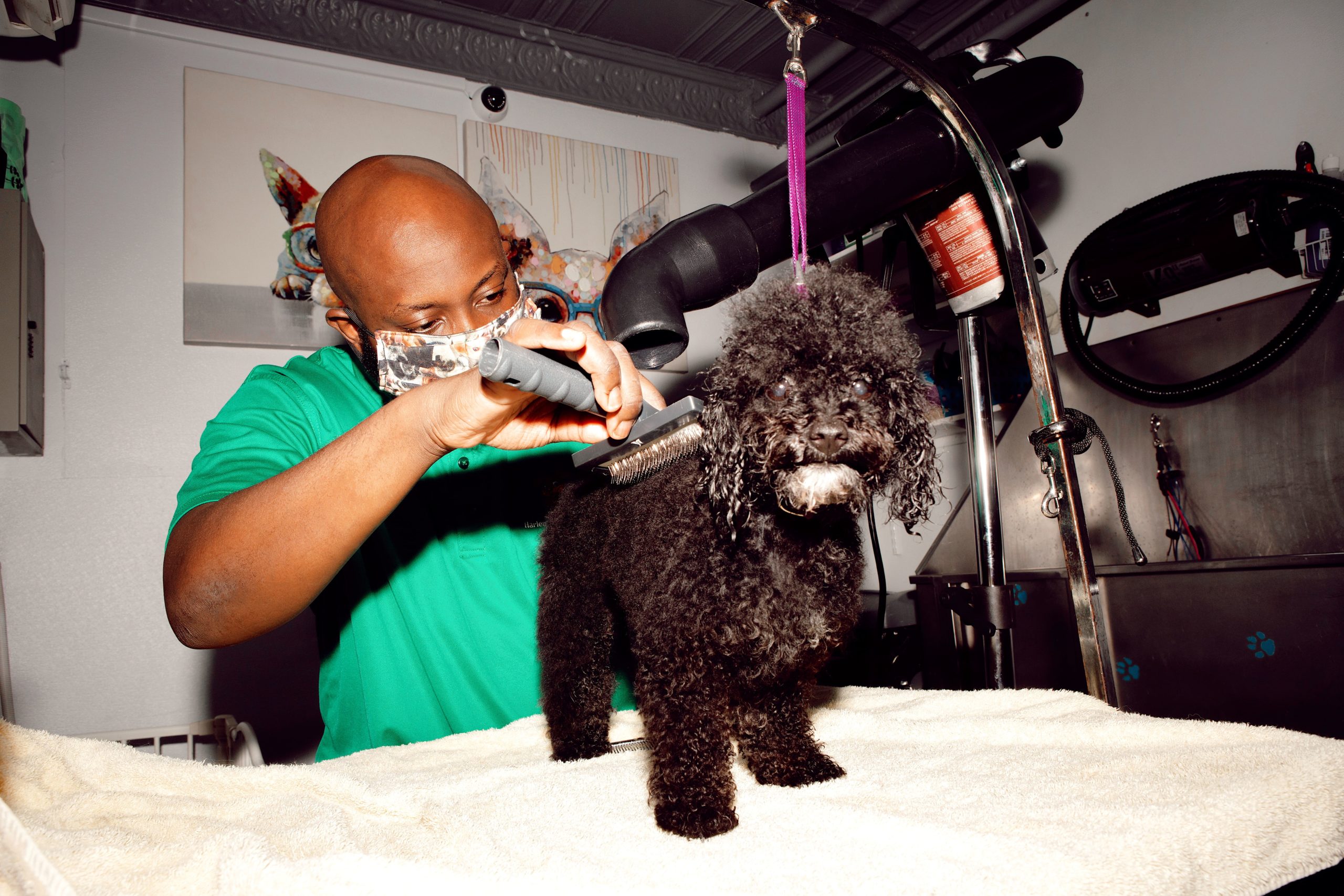 Brian Taylor of Harlem Doggie Day Spa, photographed for Argos & Artemis by Tayler Smith.
