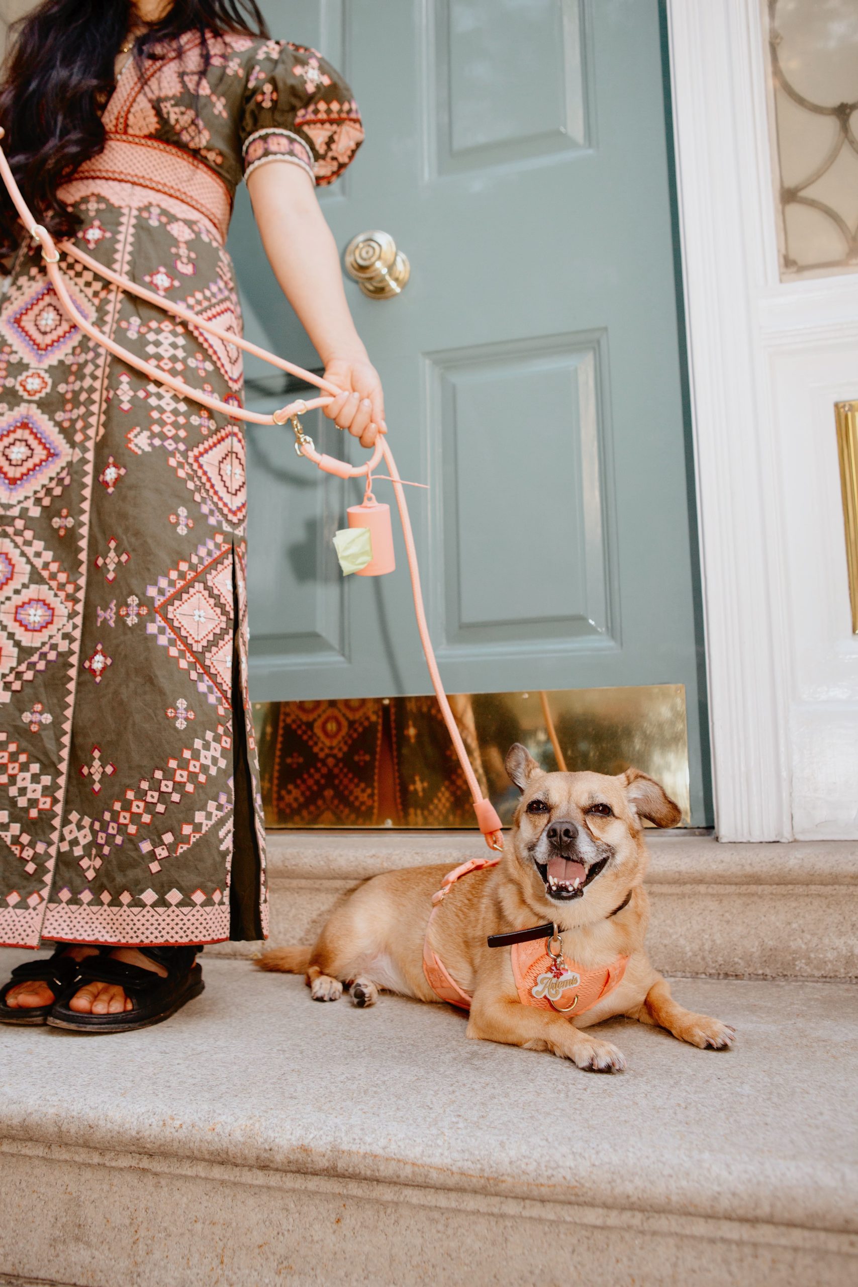 Awoo Pets leash and harness, photographed for Argos & Artemis by Tayler Smith.