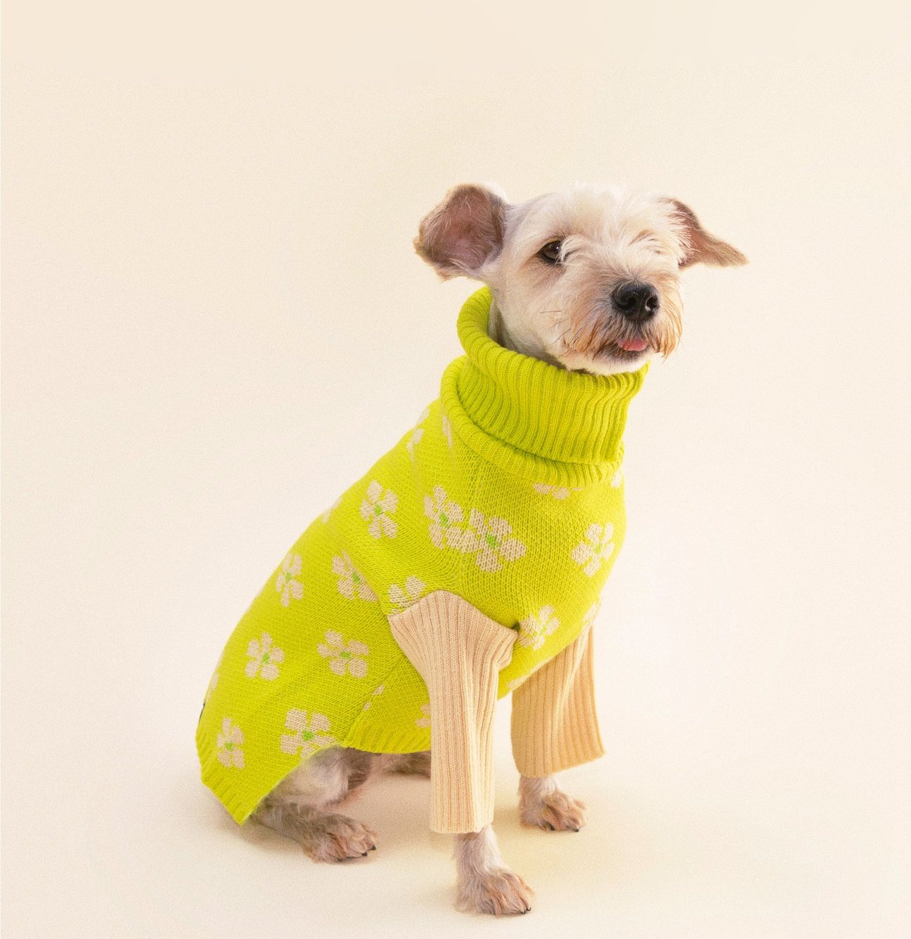 Little Beast Flower Power Dog Sweater.